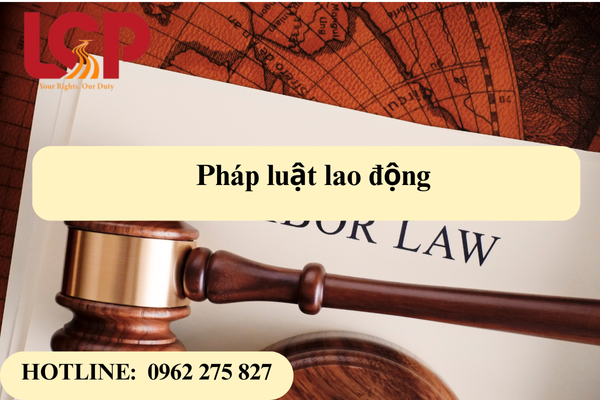Pháp luật lao động